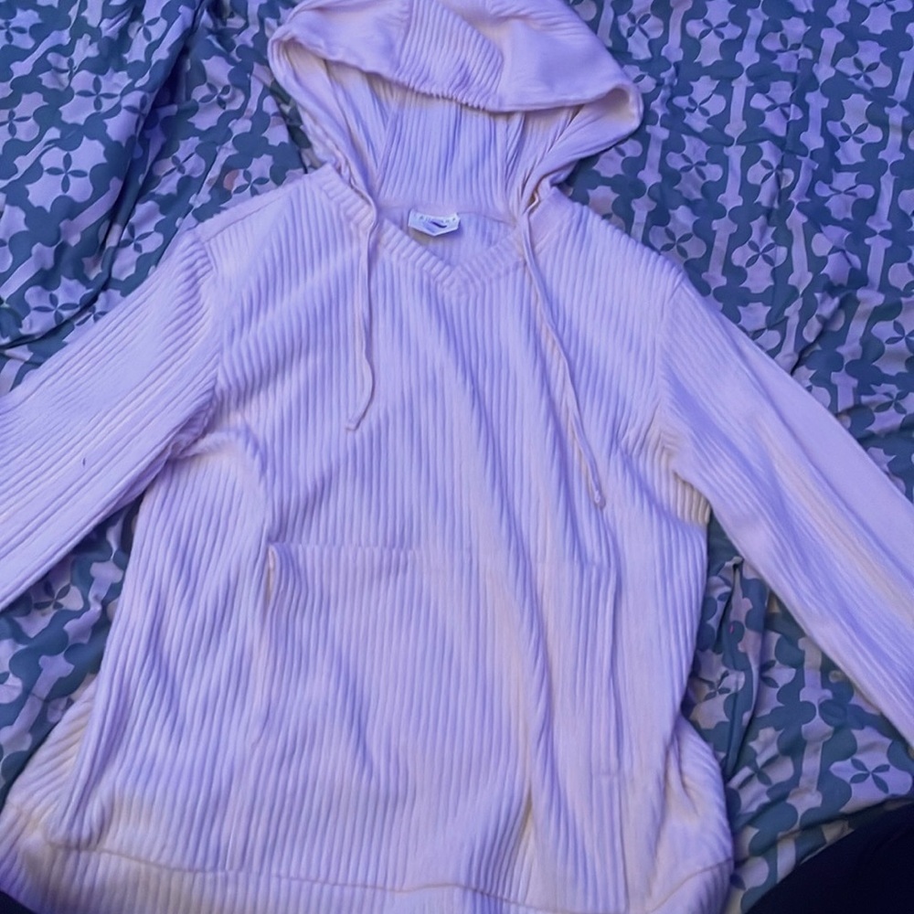 Hoodie small by laundry